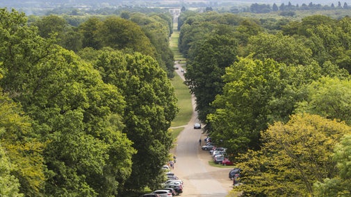 A view of Monument Drive from the top of the Bridgewater Monument at Ashridge Estate